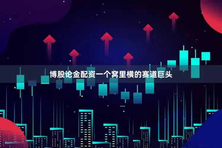 博股论金配资一个窝里横的赛道巨头
