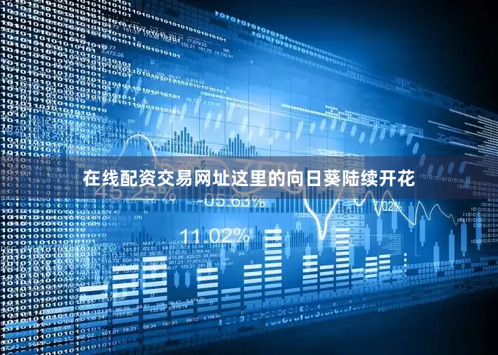 在线配资交易网址这里的向日葵陆续开花