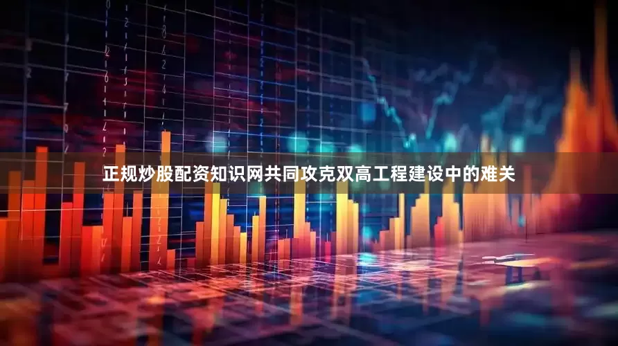正规炒股配资知识网共同攻克双高工程建设中的难关