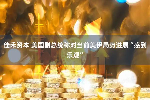 佳禾资本 美国副总统称对当前美伊局势进展“感到乐观”