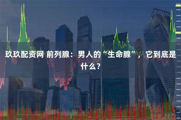 玖玖配资网 前列腺：男人的“生命腺”，它到底是什么？