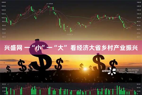 兴盛网 一“小”一“大” 看经济大省乡村产业振兴