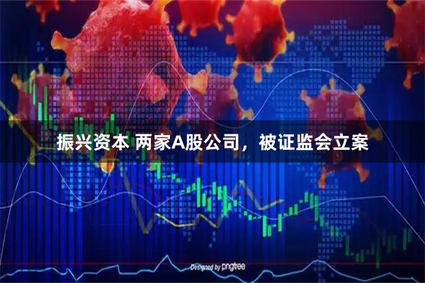 振兴资本 两家A股公司，被证监会立案